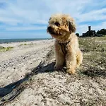 Passat Teichhof Fehmarn * Wenkendorf