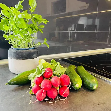 Passat Teichhof Fehmarn Appartement