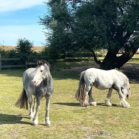 Passat Teichhof Fehmarn *