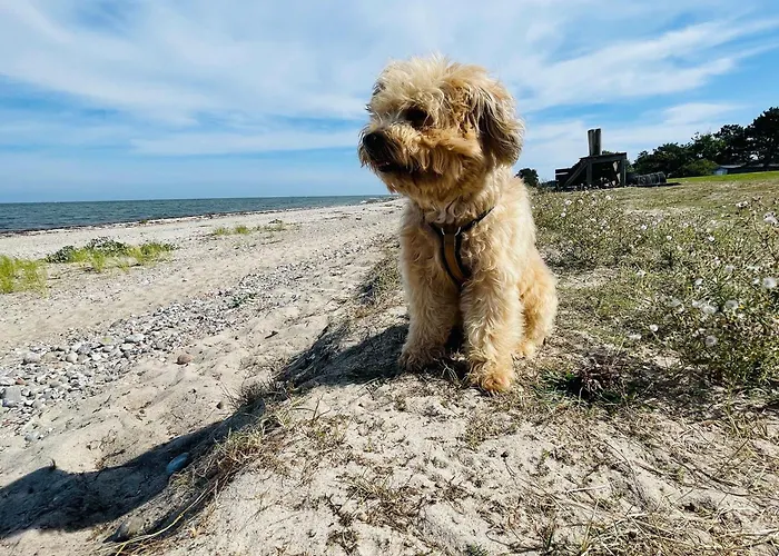 Passat Teichhof Fehmarn * Wenkendorf