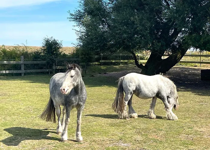 Passat Teichhof Fehmarn *